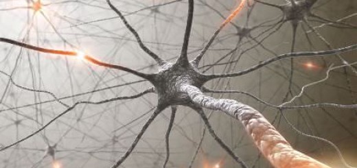 complex_neurons